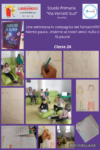 Classe IIA Via Adda